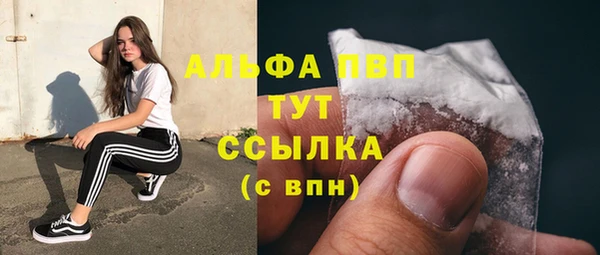 стаф Медногорск