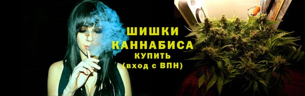 стаф Медногорск