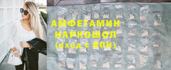 стаф Медногорск