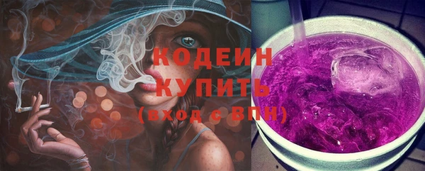 стаф Медногорск