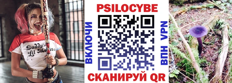 Галлюциногенные грибы мицелий  ОМГ ОМГ сайт  Советская Гавань 